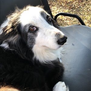 Meet your Posher, Marcie